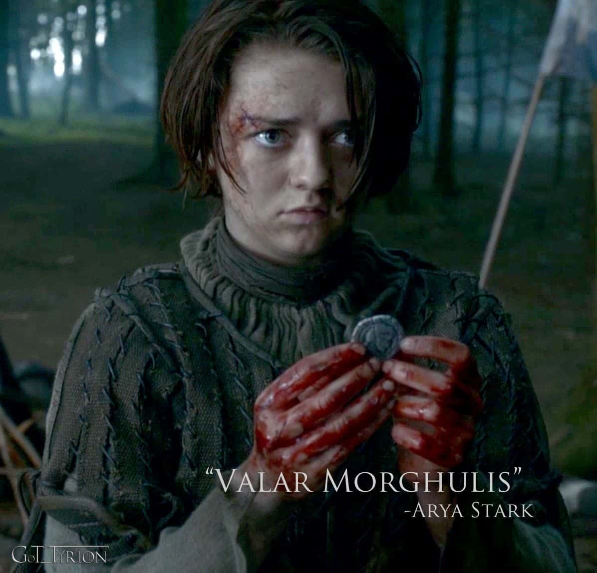 arya-valar.jpg