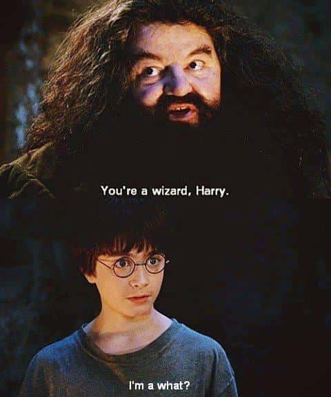 youre-a-wizard-harry.jpg